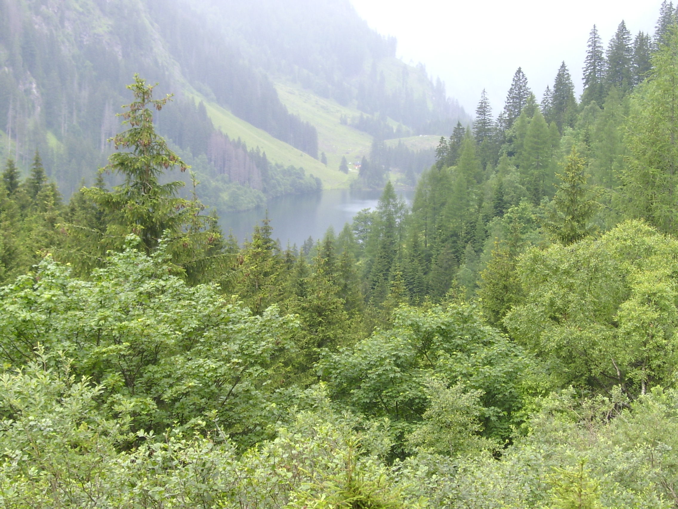 Österreich 30.06.2003 Fotogalerie